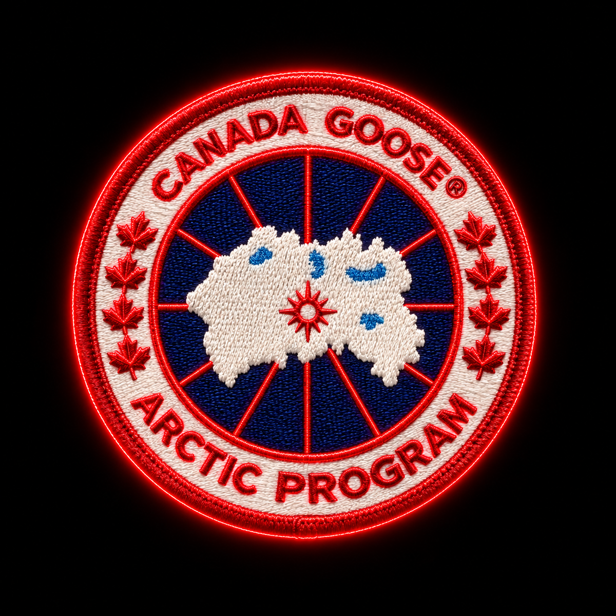 Canada Goose Box (5 Items Including Puffers)